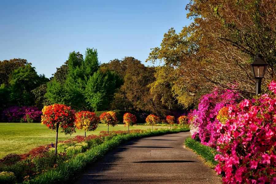 belgian garden masters 2025